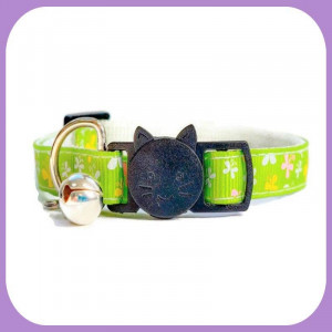 Collar-098